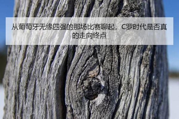 cong-pu-tao-ya-wu-yuan-si-qiang-de-na-chang-bi-sai-liao-qi-luo-shi-dai-shi-fou-zhen-de-zou-xiang-zhong-dian-2-386.jpg
